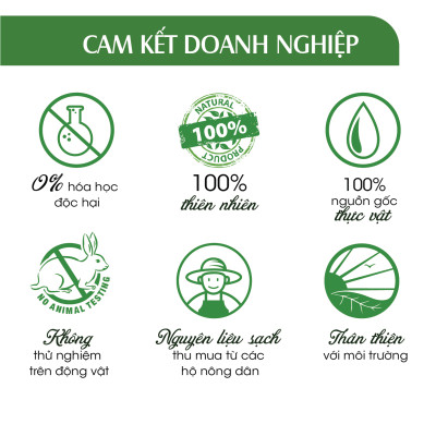 Xịt Phòng Tinh Dầu Hữu Cơ Organic 24Care - Kháng khuẩn - Khử mùi hôi - Đuổi muỗi, kiến ba khoan - côn trùng - Hương thơm thư giãn. 