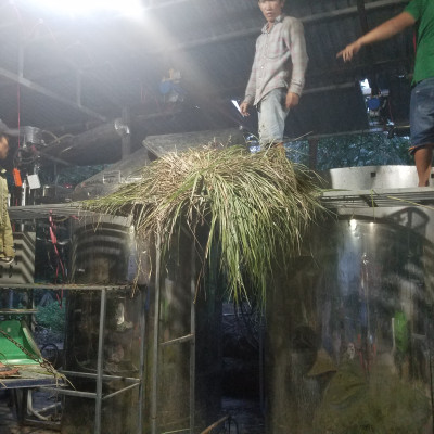 Tinh dầu Sả Chanh nguyên chất Mộc Mây - Xuất khẩu Châu Âu, xông phòng, khử mùi, thơm phòng, đuổi muỗi, thư giản