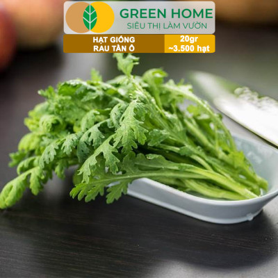 Hạt Giống Rau Tần Ô Greenhome, Gói 20g~3500 hạt, Cải Cúc Dễ Trồng, Thu Hoạch Nhanh R02
