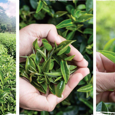 Trà ô long cao cấp gói 200 gram