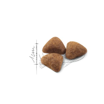 Royal Canin Indoor 27 Thức Ăn Hạt Mèo 1-7 Tuổi | Mèo Ít Vận Động [Dry cat food]