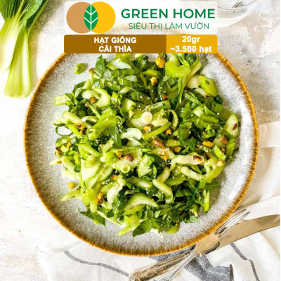 Hạt Giống Rau Cải Thìa Greenhome, Gói 20g~3500 hạt, Dễ Trồng Quanh Năm, Nảy Mầm Cao, Thu Hoạch Nhanh, Năng Suất Cao R08