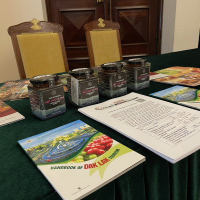 Mật Ong Hoa Cà Phê Jade Mountain Nguyên Chất Thu Hoạch Tự Nhiên Chất Lượng Cao 380ml