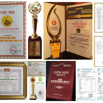 Tinh dầu Bạch Đàn Chanh 10ml Mộc Mây - tinh dầu thiên nhiên nguyên chất 100% - chất lượng và mùi hương vượt trội - Có kiểm định