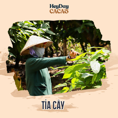 Bột cacao nguyên chất 100% Việt Nam - Dòng Balanced phổ thông túi 200g -  Chuyên dùng làm bánh, pha chế cho quán cà phê - Heyday Cacao