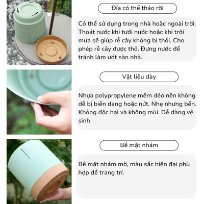 Chậu trồng cây tự tưới thông minh MONROVIA cho hoa, cây cảnh trong nhà và ngoài trời hình trụ tròn