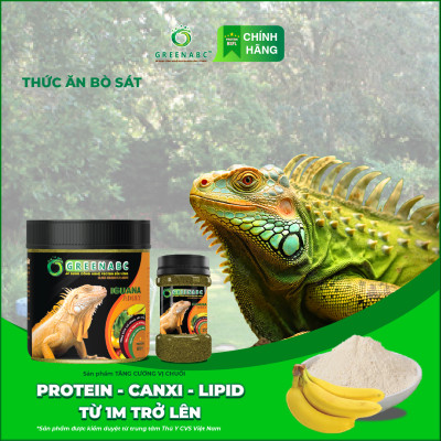 Thức ăn bò sát Iguana Trưởng Thành GREENABC vị chuối dùng cho Iguana từ 1m trở lên giúp gai bung, gù cao, dáng đẹp, lên màu tươi - Hộp 230g