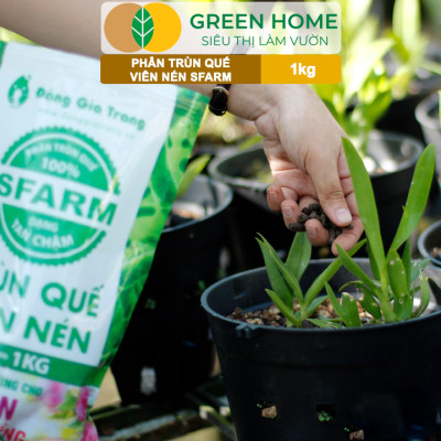 Phân Trùn Quế Viên Nén Greenhome, Sfarm, Bao 1kg, Dinh Dưỡng Hữu Cơ, Không Mùi, Tốt Cho Lan, Bonsai, Rau, Cây Ăn Trái