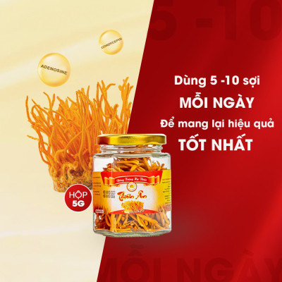 Đông Trùng Hạ Thảo Sấy Thăng Hoa Thiên Ân - Hũ 5g