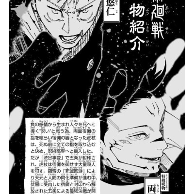 Jujutsu Kaisen 27 (Japanaese Edition)