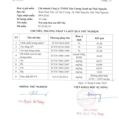 Trà Ướp Hoa Sen Hồ Tây 10 gói x 20 gram - Trà đinh Tân Cương Xanh ướp sen Hồ Tây thơm ngon, thanh khiết, hậu ngọt sâu