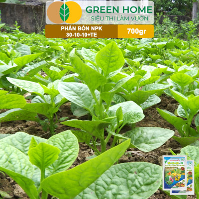 Phân Bón NPK 30-10-10+TE, Greenhome, Gói 700Gr, Giúp Cây Đẻ Nhánh, Bung Chồi, Nhú Đọt, Tốt Rễ