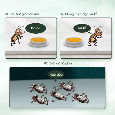 Combo 4 hộp viên diệt gián sinh học AMB, thuốc diệt gián Đức hiệu quả nhanh chóng, an toàn sức khỏe, hộp 8 viên