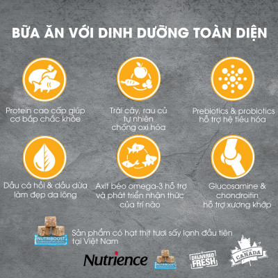  Thức Ăn Hạt Cho Mèo Nutrience Subzero Bao 5kg - Thịt Gà, Cá Hồi, Cá Tuyết, Rau Củ, Trái Cây Tự Nhiên