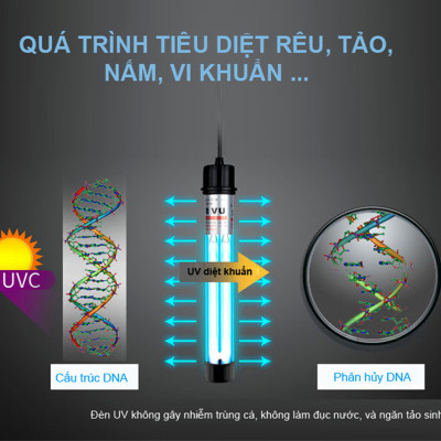 Đèn UV 20W Sterilization King Bóng Kép cao cấp, diệt tảo, diệt khuẩn cho bể cá, hồ cá, hồ thủy sinh siêu sạch ( Trắng) 
