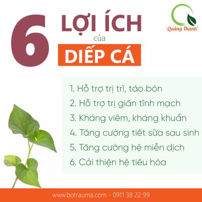 Bột Diếp Cá Sấy Lạnh Nguyên Chất Quảng Thanh Hộp 30g  - Giảm mở, giảm cân, kháng viêm, hỗ trợ trĩ, táo bón