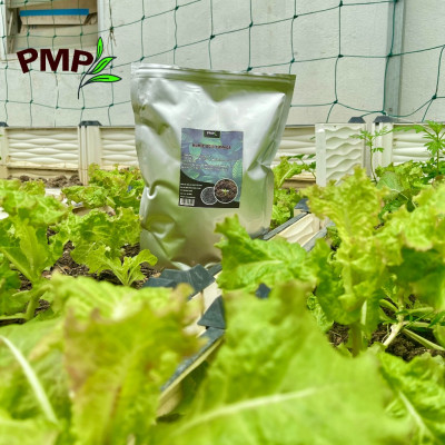 Acid Humic Canada PMP 01Kg