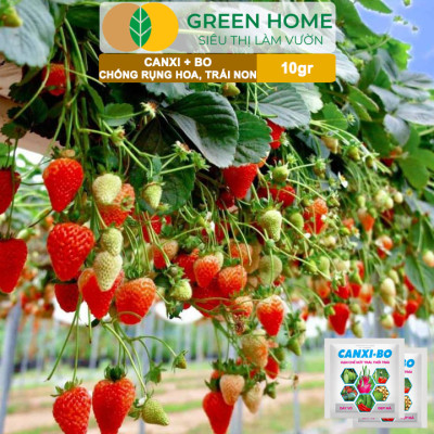 Phân Bón Canxi Bo Greenhome, Viên 10Gr, Tăng Đậu Trái, Chống Rụng Hoa Và Trái Non, Chống Thối Trái