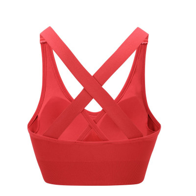 Áo Bra nữ hàng Quảng Châu cao cấp new