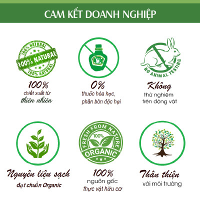 Tinh dầu Hồi (Hoa Hồi, Đại Hồi) nguyên chất 100% từ thiên nhiên, thư giản, xông phòng, đuổi muỗi - KingOil