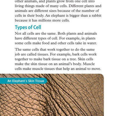 Oxford Read and Discover 6 Cells and Microbes