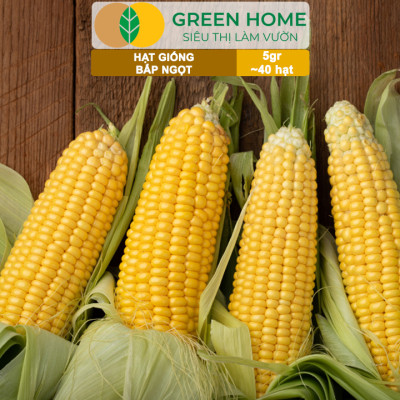 Hạt Giống Bắp Ngọt, Greenhome, Gói 5GR~40 hạt, Dễ Trồng Quanh Năm, Nảy Mầm Cao, T29