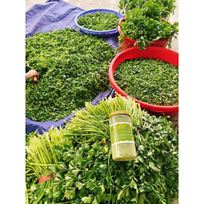 Bột cần tây nguyên chất sấy lạnh (500gr)