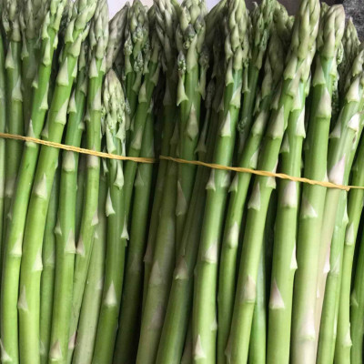 Hạt giống Măng tây Xanh Italy VTP40