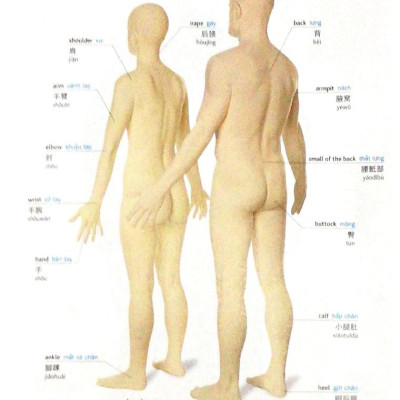 Visual English Vietnamese Chinese Trillingual Dictinonary