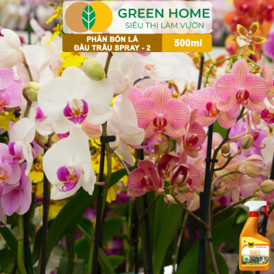 Phân Bón Lá Đầu Trâu Spray-2 Greenhome, Bình Điền, Chai 500ml, Kích Thích Ra Hoa, Chuyên Lan Và Hoa