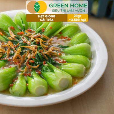 Hạt Giống Rau Cải Thìa Greenhome, Gói 20g~3500 hạt, Dễ Trồng Quanh Năm, Nảy Mầm Cao, Thu Hoạch Nhanh, Năng Suất Cao R08