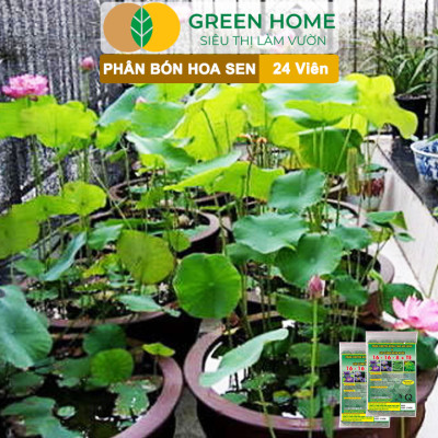 Phân Bón Hoa Sen Greenhome, Vỉ 24 Viên, Cây Thuỷ Sinh, Ngập Nước, Cho Hoa To, Hoa Đậm Màu, Lâu Tàn, Tốt Lá