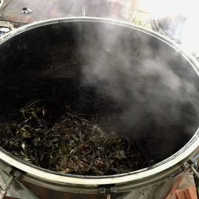 Tinh dầu Bạch Đàn Chanh 10ml Mộc Mây - tinh dầu thiên nhiên nguyên chất 100% - chất lượng và mùi hương vượt trội - Có kiểm định