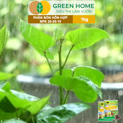 Phân Bón NPK 20-20-15, Greenhome, Đầu Trâu, 1Kg, Chuyên Hoa, Cây Cảnh Giúp Ra Hoa, Hoa Đẹp, Lâu Tàn