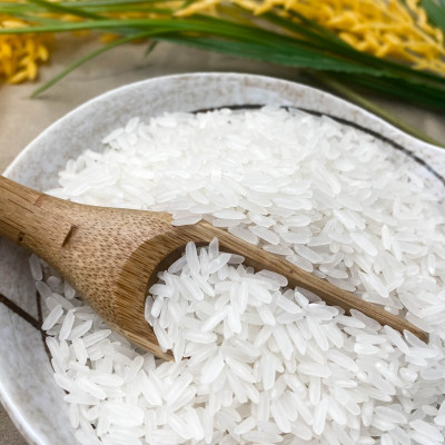 Gạo Tây Nam Bộ HOALUA Rice dẻo ít, mềm cơm, tơi xốp (Túi 5kg)