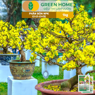 Phân Bón NPK 17-17-17, Greenhome, Gói 1kg, Bung Chồi Đọt, Thúc Nút Kim, Tạo Mầm Dưỡng Hoa