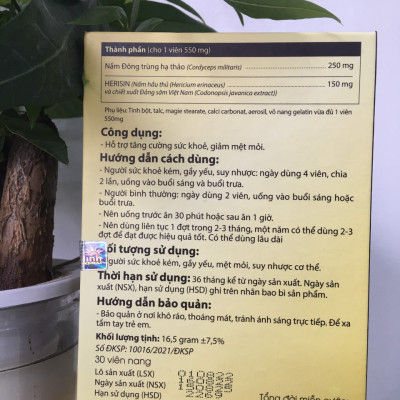 Đông trùng hạ thảo Thái Minh- Bồi bổ cơ thể, tăng cường sức khỏe