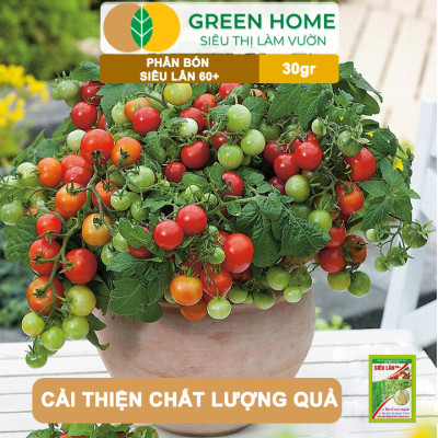 Phân Bón Lá Greenhome, Siêu Lân 60+, Gói 30gr, Phát Triển Rễ, Tạo Mầm Hoa, Kích Ra Hoa