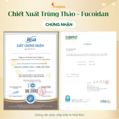 [LOẠI THƯỢNG HẠNG] Nước chiết xuất trùng thảo fucoidan SCORIUS 70ml bồi bổ sức khỏe