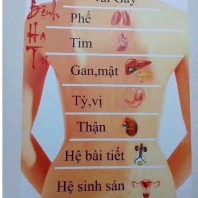 Bộ giác hơi ngải cứu cao cấp 6 cốc - VỪA GIÁC HƠI- VỪA CỨU NGẢI.giúp ôn ấm bài trừ hàn lạnh và lưu thông khi huyết