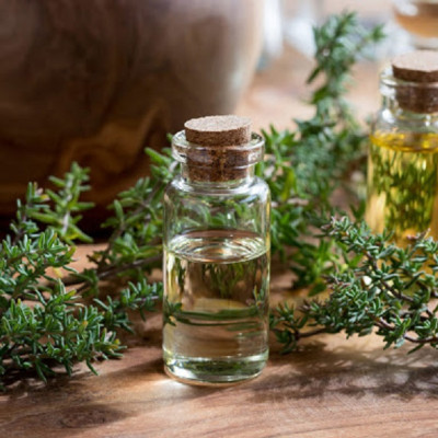 Tinh dầu Cỏ Xạ Hương (Thyme Essential Oil) 50ml nguyên chất từ thiên nhiên - KingOil