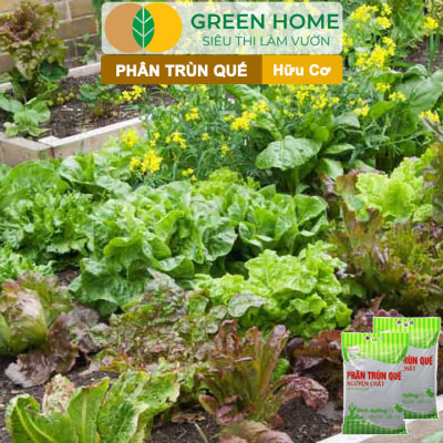 Phân Trùn Quế Greenhome, Lavamix, Bao 2kg, Nguyên Chất, Bổ Sung Dinh Dưỡng, Cải Tạo Đất, Hữu Cơ Tiện Lợi, Bón Rau, Hoa