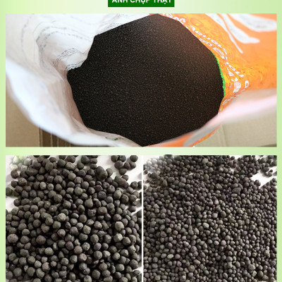 Sứ Lọc Bể Cá túi 1KG + Phân nền Dia MAX AQUA 2KG trồng cây thủy sinh hồ cá