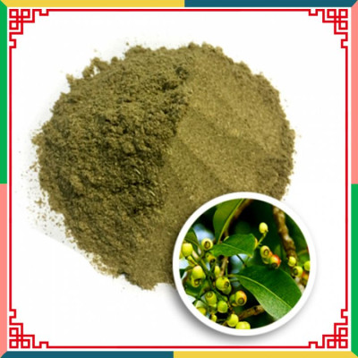 Trà lá vối túi lọc tốt cho người bị gout, giảm đau bụng FTAKY 20 túi