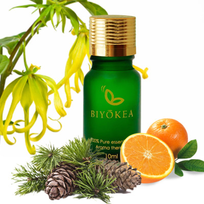 Tinh Dầu Hỗn Hợp Biyokea 4: Ngọc Lan Tây + Cam + Thông (10ml)