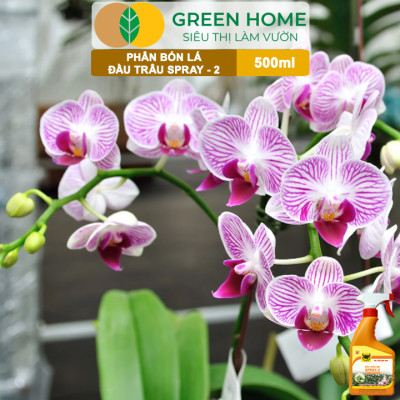 Phân Bón Lá Đầu Trâu Spray-2 Greenhome, Bình Điền, Chai 500ml, Kích Thích Ra Hoa, Chuyên Lan Và Hoa