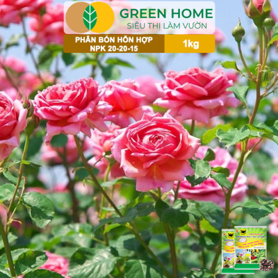 Phân Bón NPK 20-20-15, Greenhome, Đầu Trâu, 1Kg, Chuyên Hoa, Cây Cảnh Giúp Ra Hoa, Hoa Đẹp, Lâu Tàn