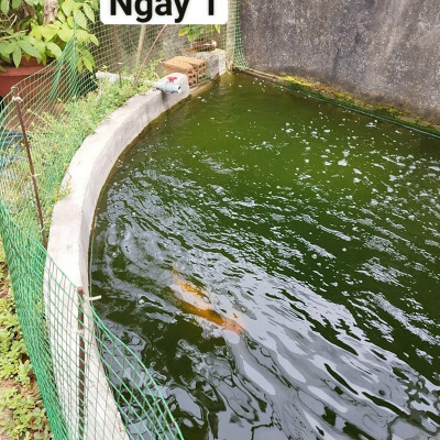 Đèn UV 75W AQUA SUV+ Diệt Khuẩn, Rêu Tảo Hồ Cá Koi , Xử Lý Nước Thải, Nước Sinh Hoạt Trong 7 Ngày