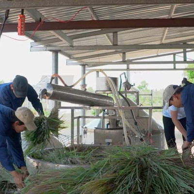 Tinh dầu Sả Chanh Organic 10ml Mộc Mây - tinh dầu nguyên chất từ thiên nhiên - chất lượng và mùi hương vượt trội