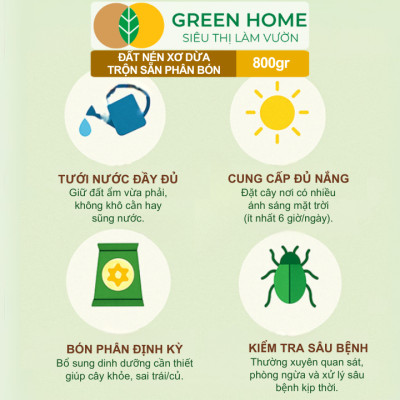 Đất Trồng Cây GreenHome, Viên Nén 800gr, Trộn Sẵn Phân Bón, Nở Gấp 5 Lần, Trồng Rau Hoa Cây Kiểng